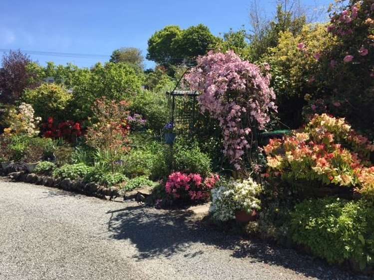 71 Peel Street Geraldine_11