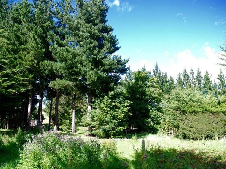 252 Tokarahi-Duntroon Road Five Forks and Surrounds_27