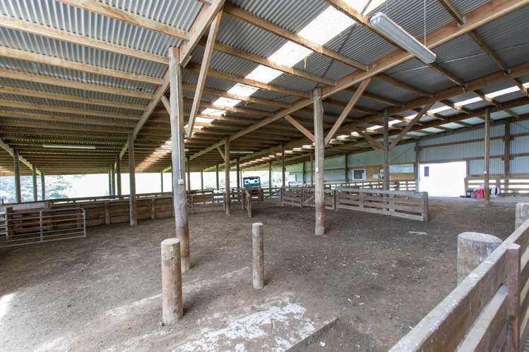 559 Korora Road Pongaroa_24