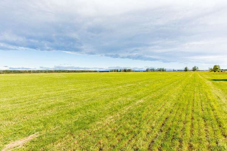 992 Wards Road Kirwee_14