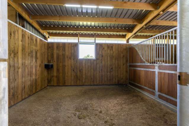 442 Bruntwood Road Tamahere_4