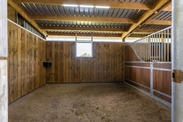 442 Bruntwood Road Tamahere_4