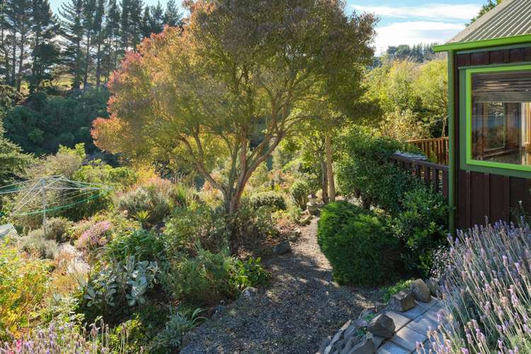 31 Gorman Street Macandrew Bay_15