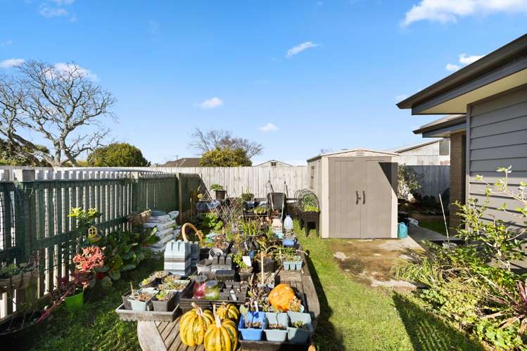 4/31 Karaka Street Nawton_3