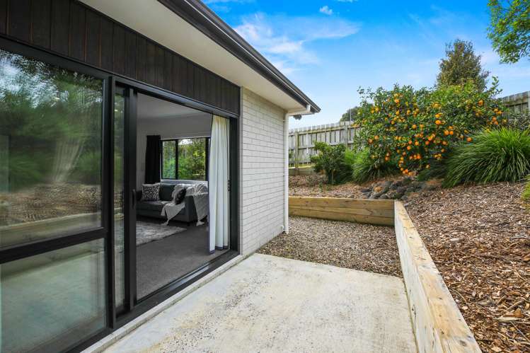 1045 Picquet Hill Road Te Awamutu_13