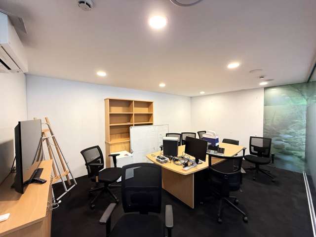 112 Parnell Road Parnell_2