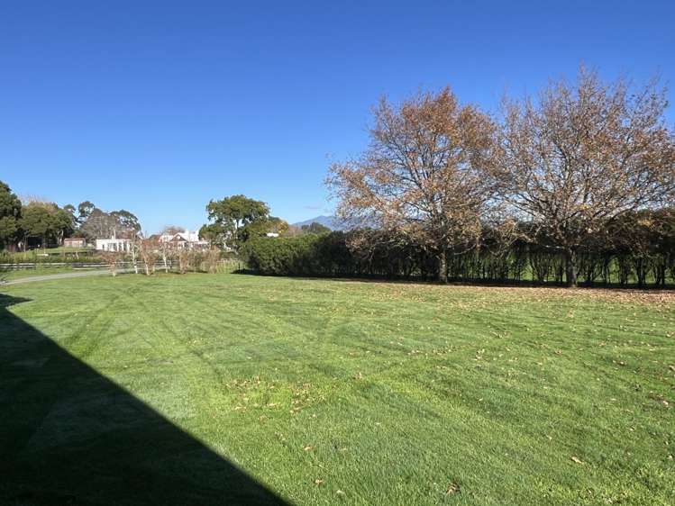32 Metcalfe Road 11377_5