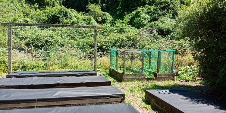 3 Hart Street Featherston_20