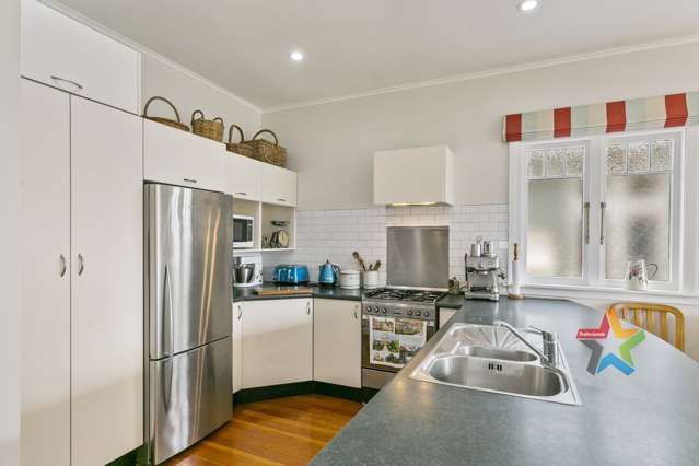 13 Pinnacle Street Seatoun_1