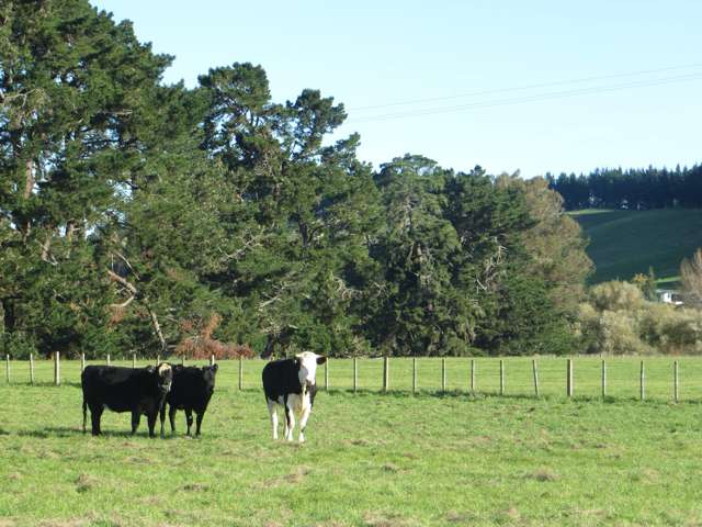 3245 State Highway 2 Takapau_1