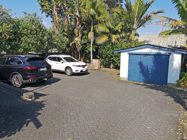 713 Dominion Rd Mt Eden_3