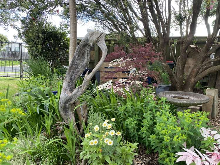 100 Centennial Avenue Waitara_39