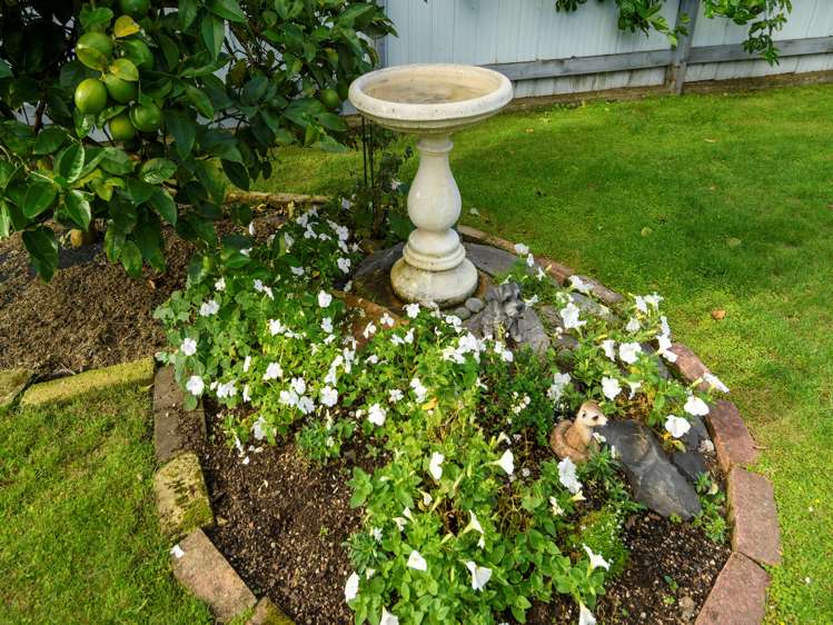 3b Regent Street Brookfield_18