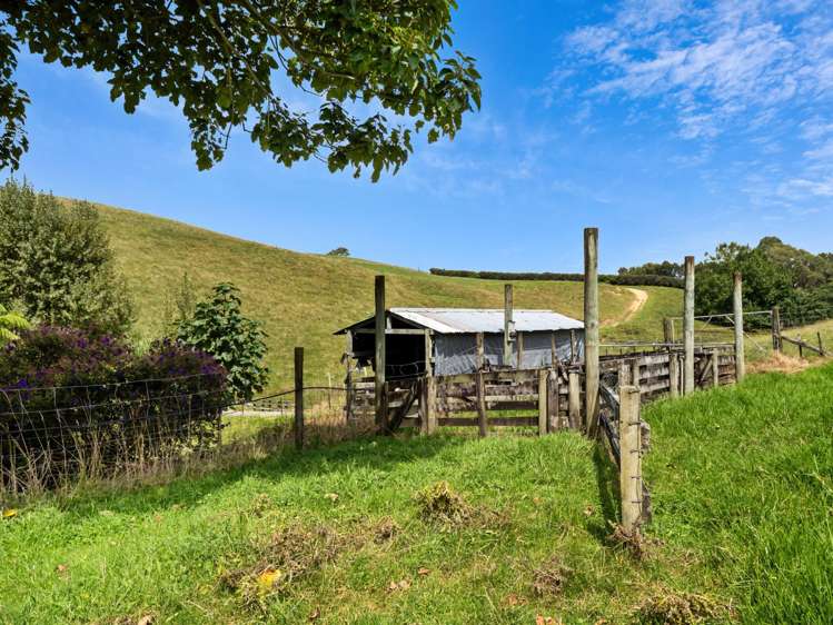 371 Esdaile Road Whakamarama_41