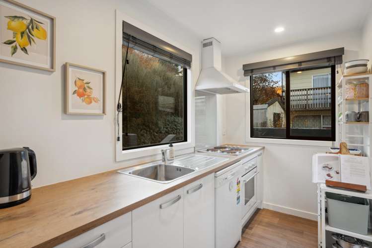 Unit 8  1080 Frankton Road_5