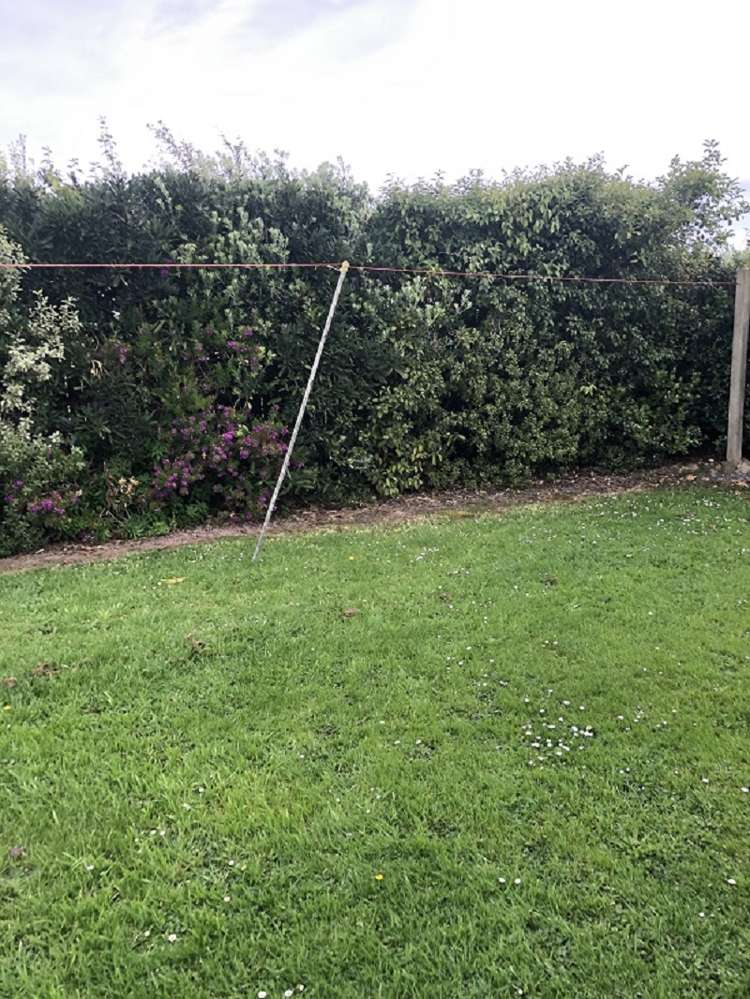 2 A'Court Street Sanson_5