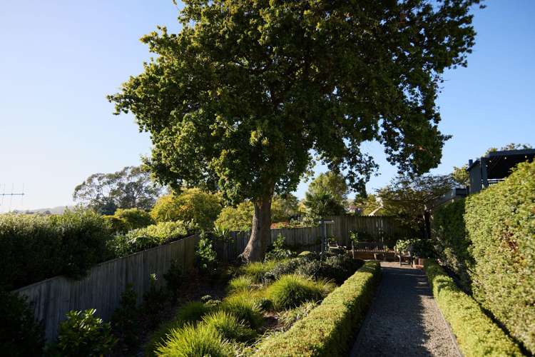 51 Simla Avenue Havelock North_26