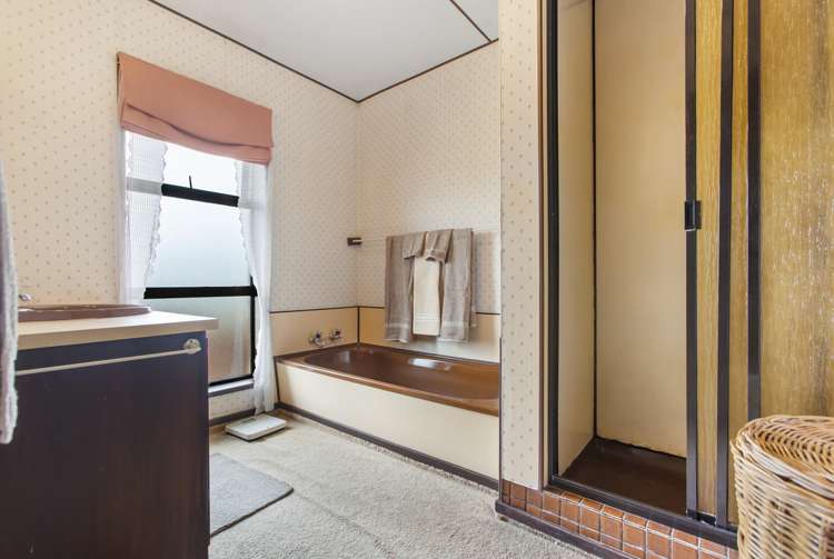 68 Bringans Street Alexandra_11