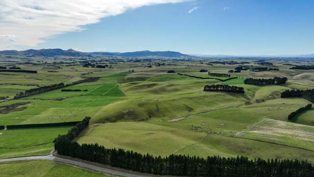 55 McGill Road Te Tipua_4