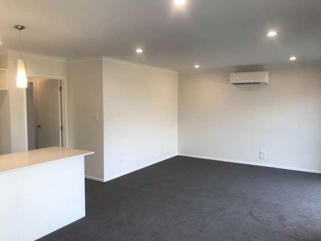 61 Koropupu Street Pukekohe_2