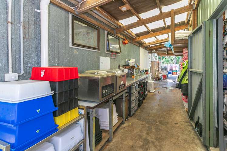 1965 Tiki Road, SH25, Coromandel Coromandel_9