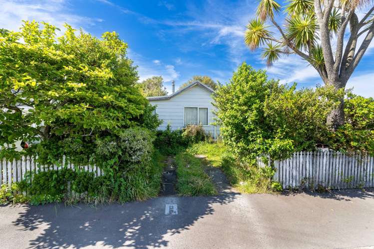 143 Melbourne Street South Dunedin_1