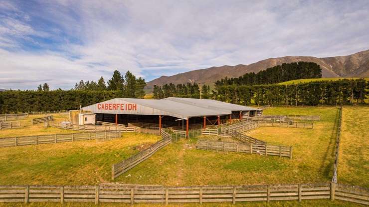 The Southern Farm Collection of Lone Star Farms, in Otago, is one of the biggest land offerings on the open market in New Zealand. Photo / Supplied