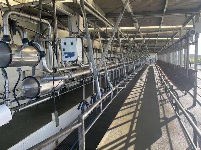 44 Eastbourne Park Road Flints Bush_2