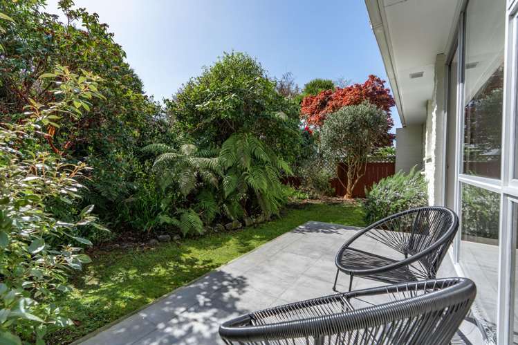 15 Duchess Avenue Dunedin Central_12