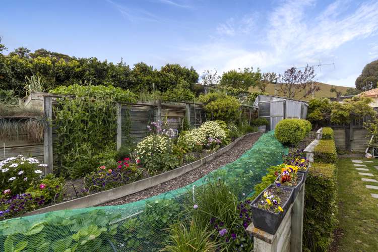 57 Forest Park Drive Witherlea_30