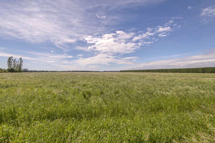 118 Steffens Road Oxford_10