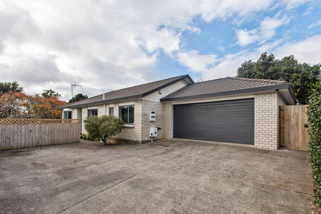 199h Captain Springs Road Onehunga_1