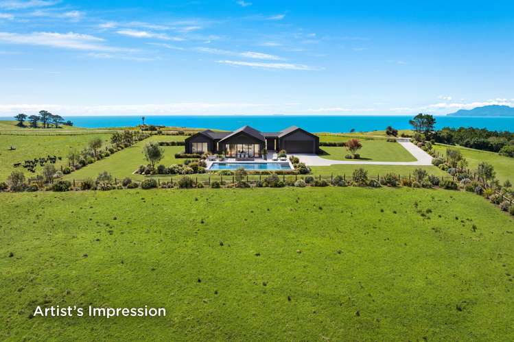 98 Cape Rodney Road Leigh_7