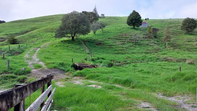 34 Wairere Valley Road Paparoa_4