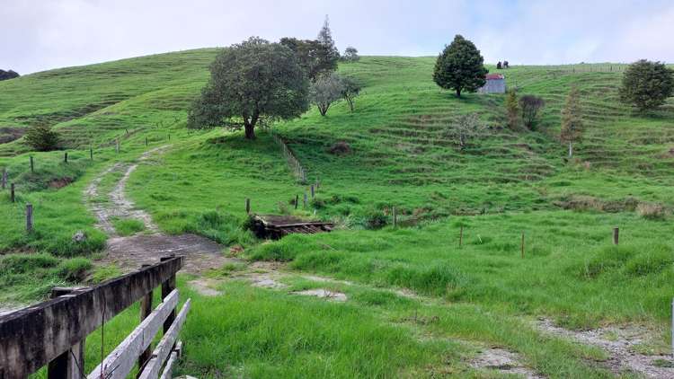 34 Wairere Valley Road Paparoa_4