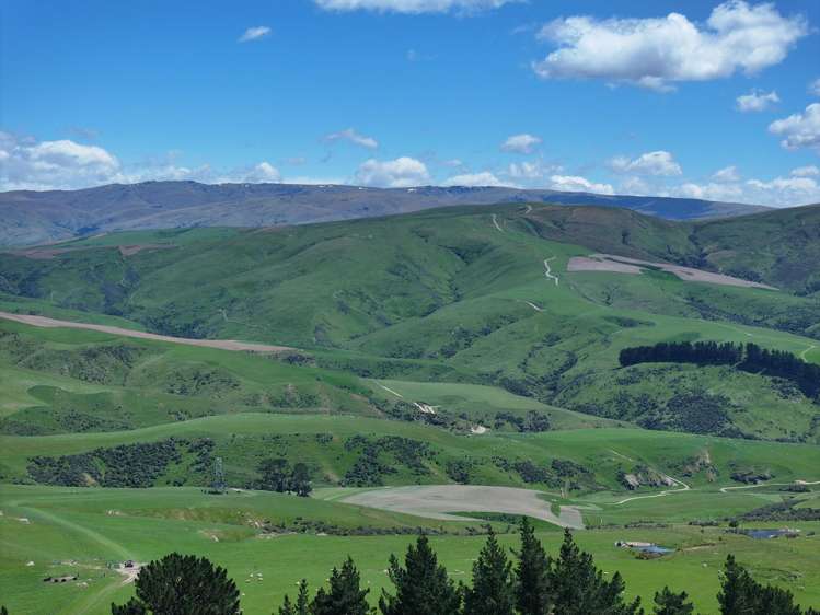 980 Moa Flat Road Moa Flat_6