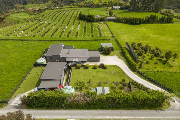534b Mclaren Falls Road Kaimai_21