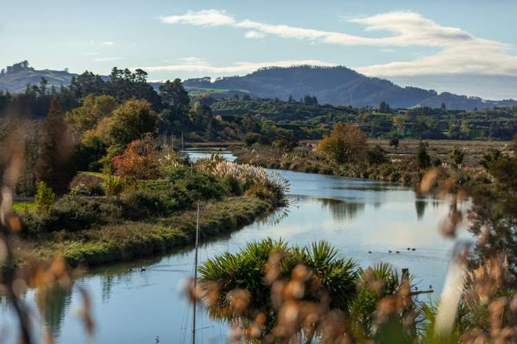 13 Noble Johnston Drive Katikati_25