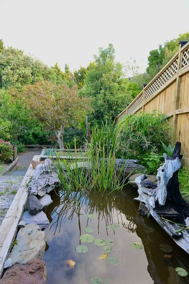 11 View Road Shelly Park_15