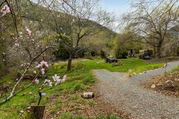 420 Wakamarina Road Canvastown_31