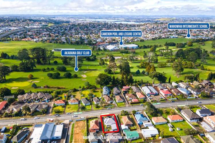 1177 Dominion Road Mount Roskill_6