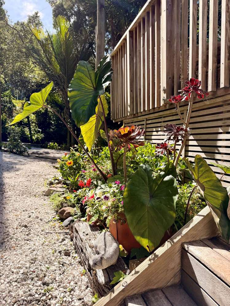 51 Wood Bay Road Titirangi_25