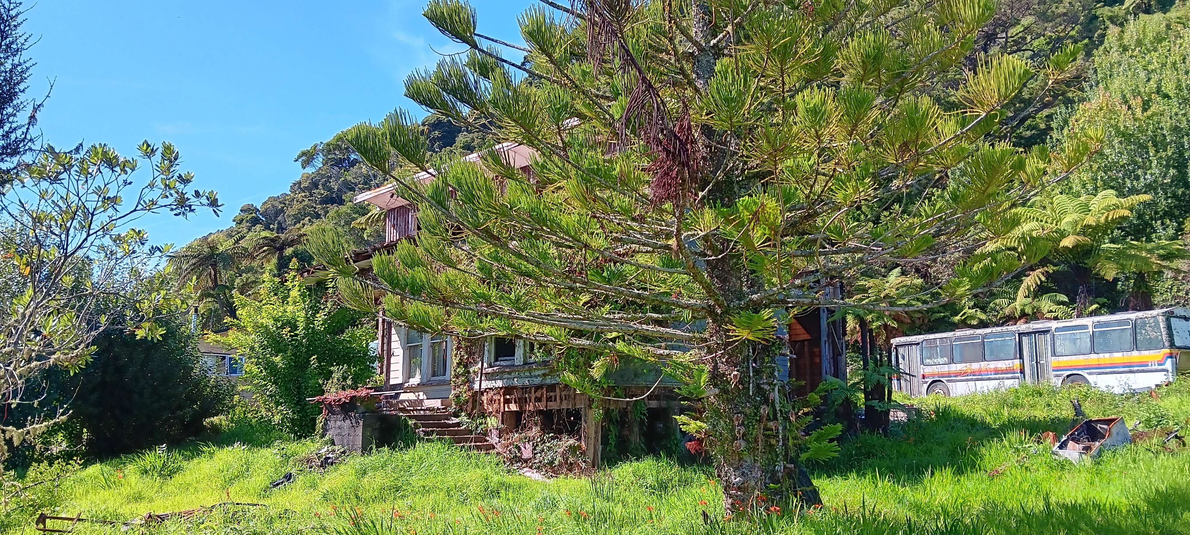 37 Back Road Granity Buller Houses for Sale One Roof