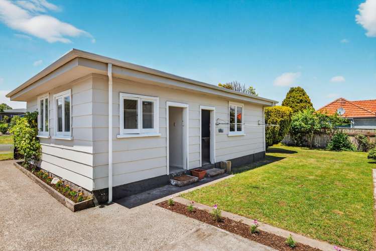 11 Kiwi Street Bird Area_13