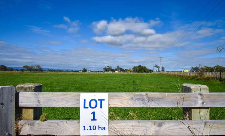 168a Nannestads Line Bunnythorpe_12