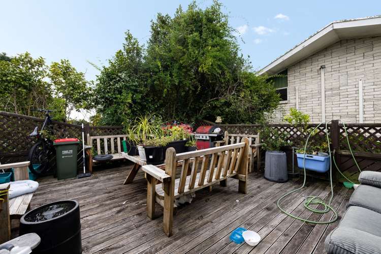 50 Challinor Street Pukete_10