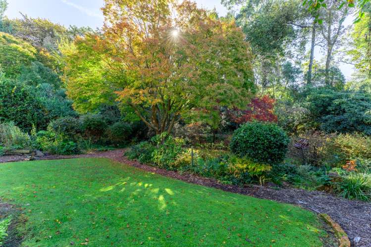 10A Branscombe Street Highfield_26