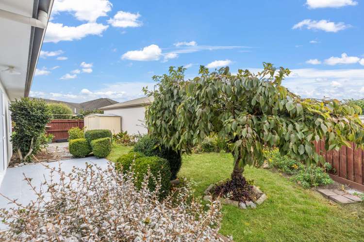 1/6 Rossetti Court Stoke_13