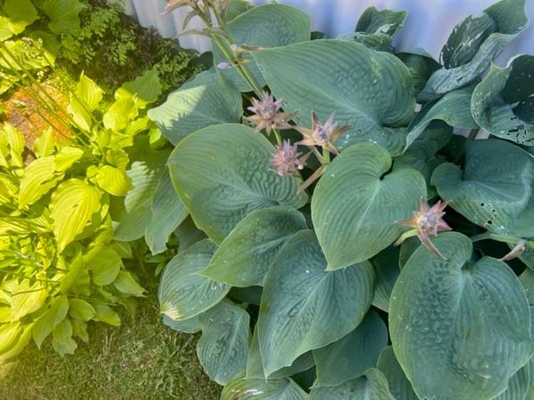 92 Reservoir Street Putaruru_21