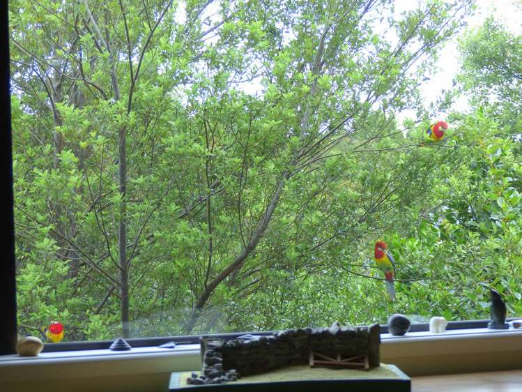 53 Kitewaho Road Swanson_45